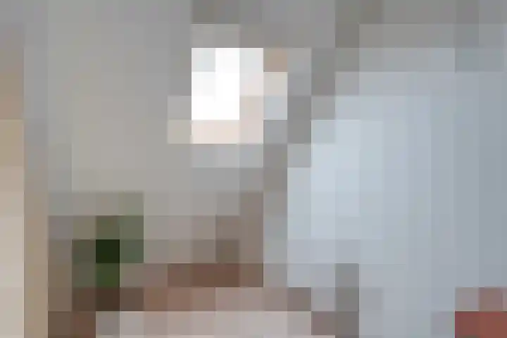 Schonekampstraat 3 Hardenberg thumbnail 35