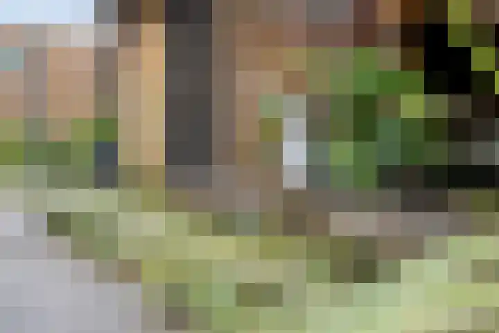 Schonekampstraat 3 Hardenberg thumbnail 36