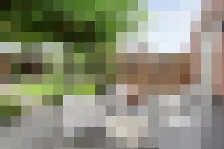 Schonekampstraat 3 Hardenberg thumbnail 37