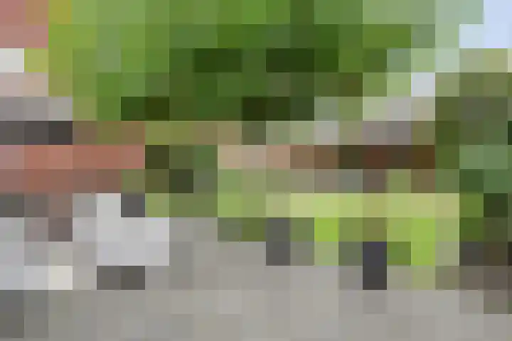 Schonekampstraat 3 Hardenberg thumbnail 38