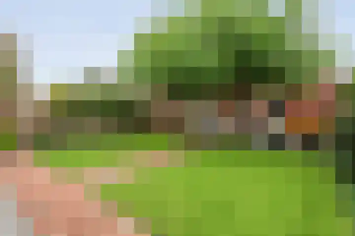 Schonekampstraat 3 Hardenberg thumbnail 39