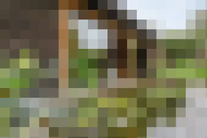 Schonekampstraat 3 Hardenberg thumbnail 40
