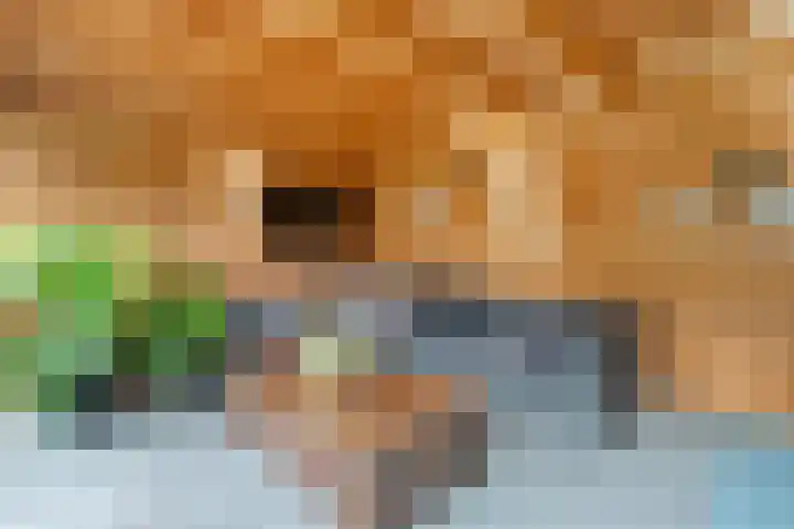 Schonekampstraat 3 Hardenberg thumbnail 41