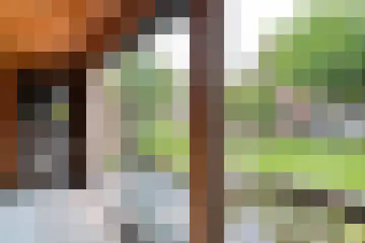 Schonekampstraat 3 Hardenberg thumbnail 43