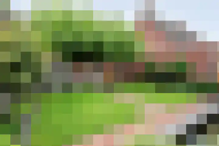 Schonekampstraat 3 Hardenberg thumbnail 45
