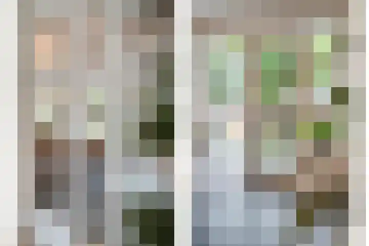 Schonekampstraat 3 Hardenberg thumbnail 6