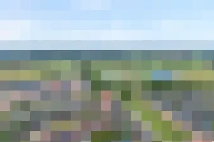 Schonekampstraat 3 Hardenberg thumbnail 9