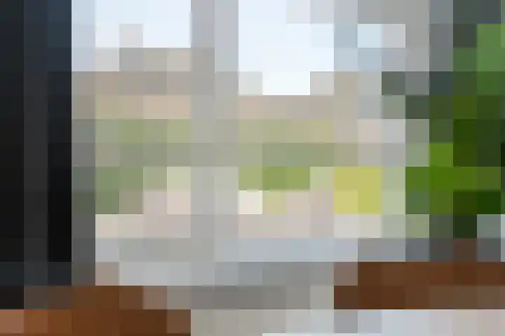 Schonekampstraat 5 Hardenberg thumbnail 10