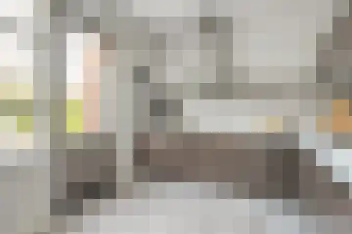 Schonekampstraat 5 Hardenberg thumbnail 13