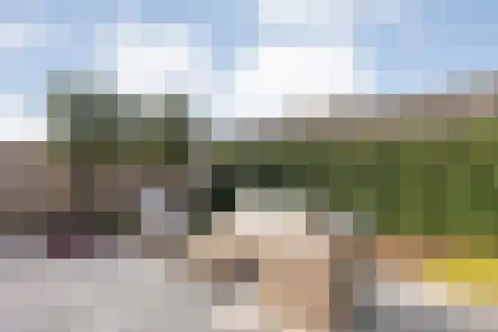 Schonekampstraat 5 Hardenberg thumbnail 32