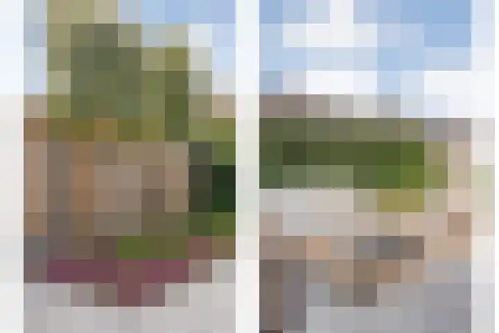 Schonekampstraat 5 Hardenberg thumbnail 33