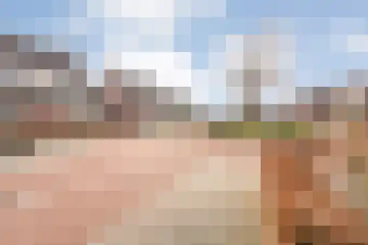 Schonekampstraat 5 Hardenberg thumbnail 39