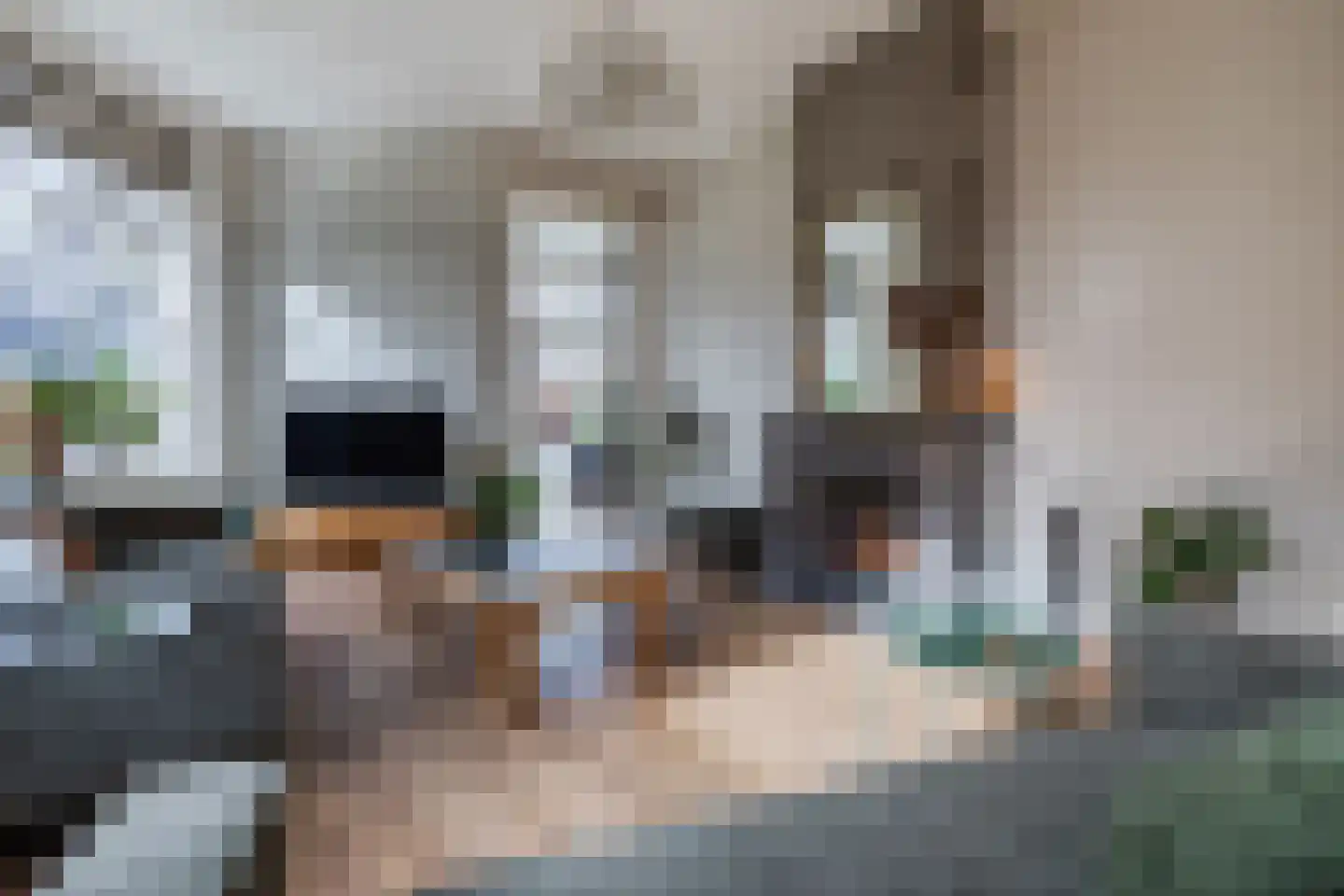Schonenbergsingel 18 Velp thumbnail 27