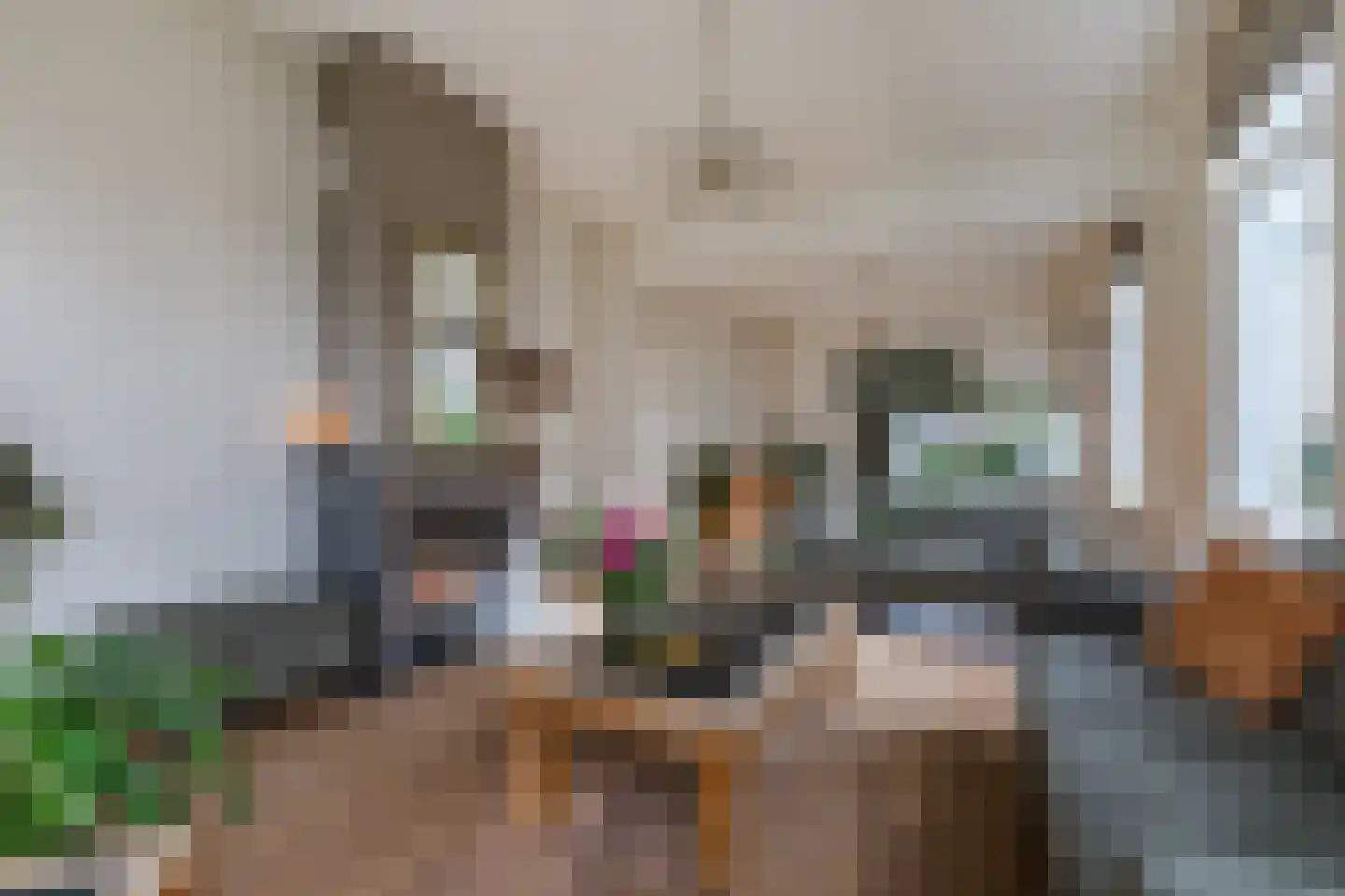 Schonenbergsingel 18 Velp thumbnail 28