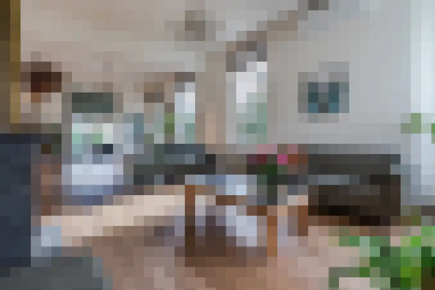 Schonenbergsingel 18 Velp thumbnail 29