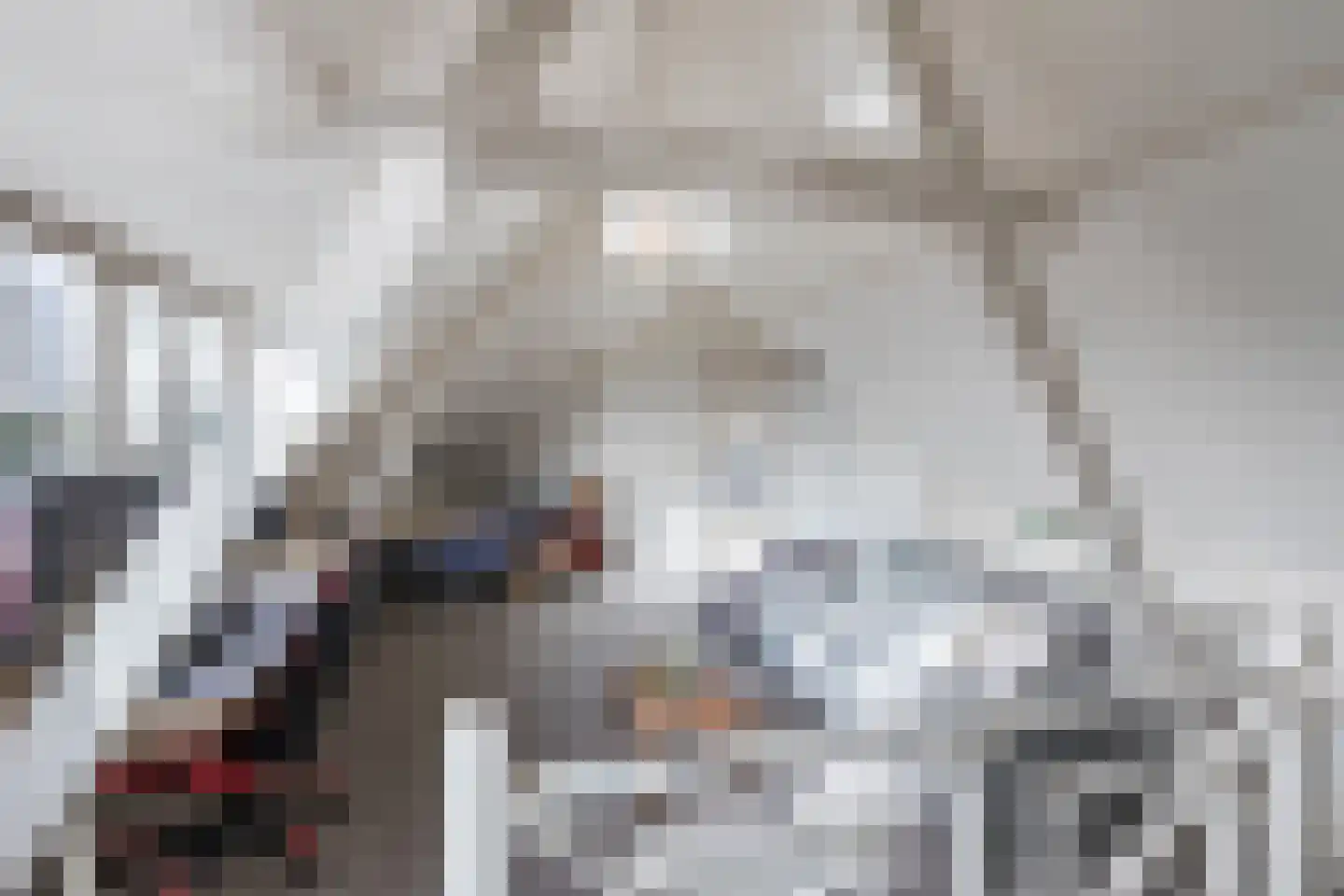 Schonenbergsingel 18 Velp thumbnail 60