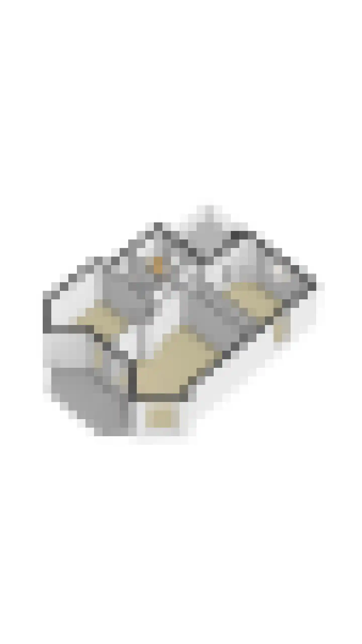 Schonenbergsingel 18 Velp thumbnail 88