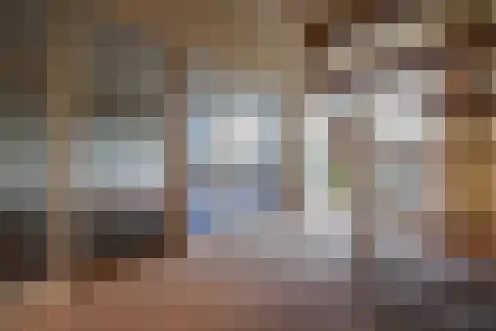 Schonenbergsingel 19 Velp thumbnail 13