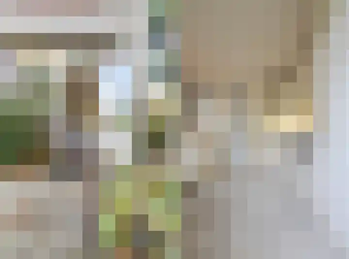 Schonenbergsingel 19 Velp thumbnail 21