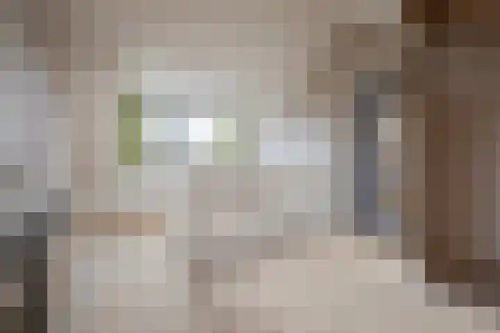 Schonenbergsingel 19 Velp thumbnail 32