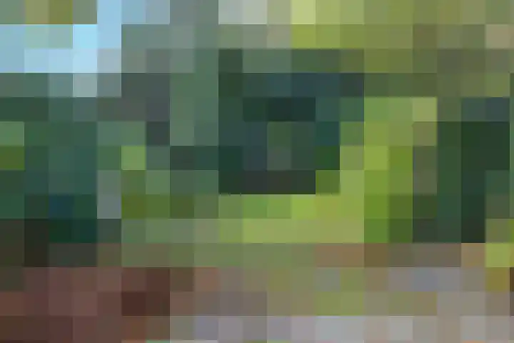 Schonenbergsingel 19 Velp thumbnail 38