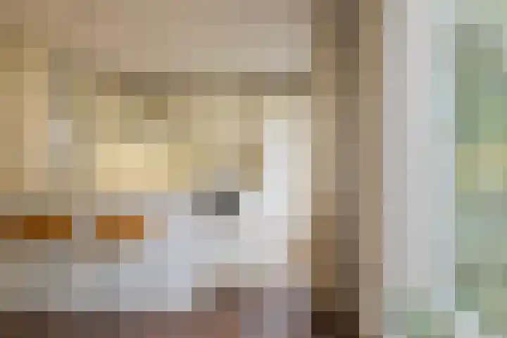 Schonenbergsingel 19 Velp thumbnail 4