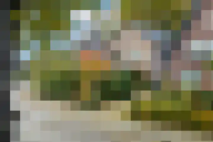 Schonenbergsingel 19 Velp thumbnail 6