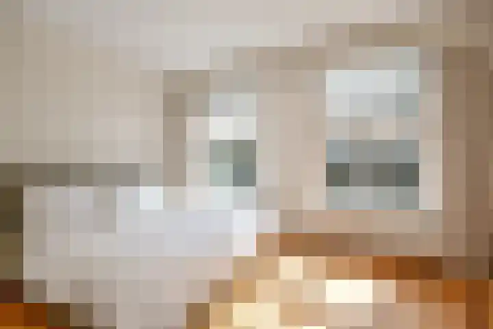 Schonenbergsingel 19 Velp thumbnail 9