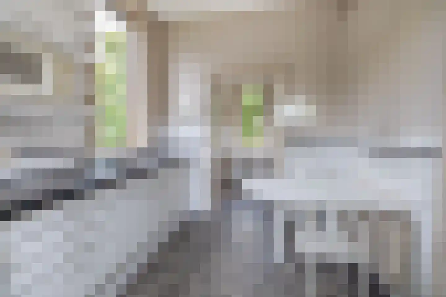 Schonenbergsingel 20 Velp thumbnail 19