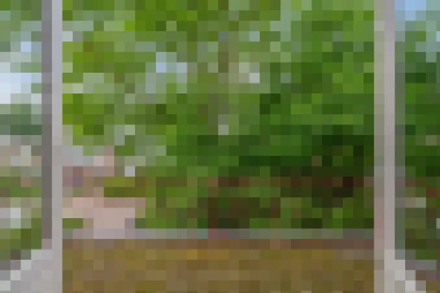 Schonenbergsingel 20 Velp thumbnail 29