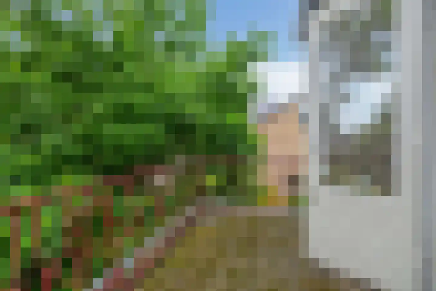 Schonenbergsingel 20 Velp thumbnail 31