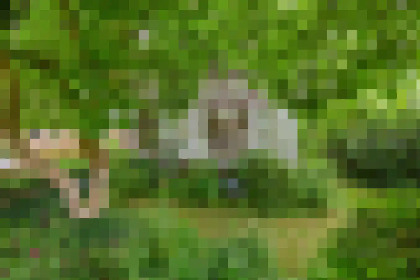 Schonenbergsingel 20 Velp thumbnail 4