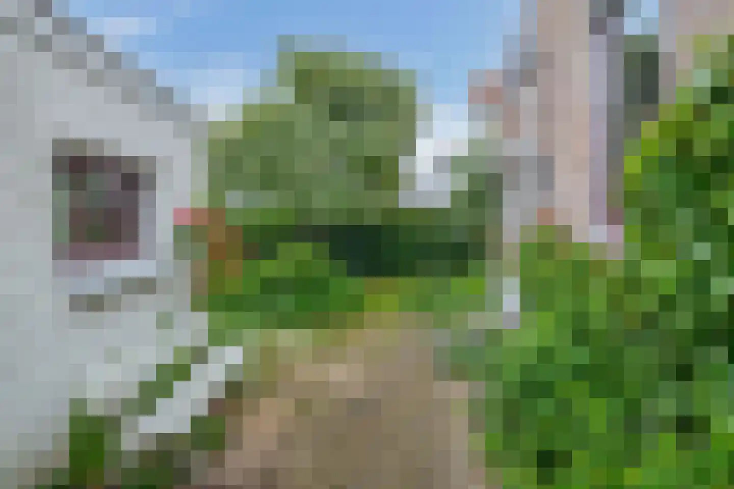Schonenbergsingel 20 Velp thumbnail 48