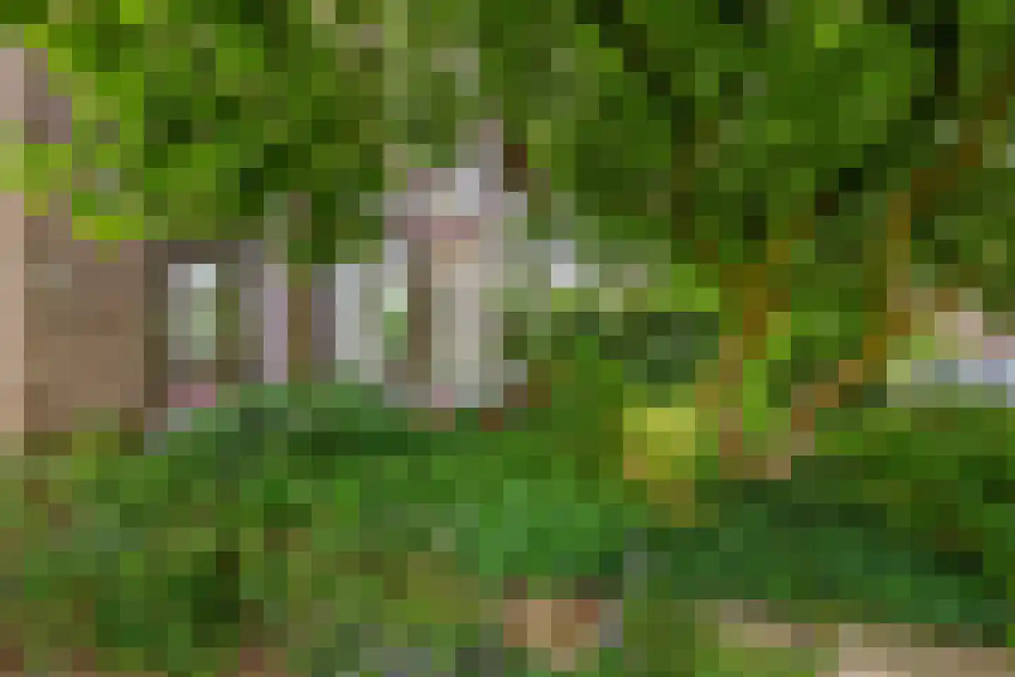 Schonenbergsingel 20 Velp thumbnail 5