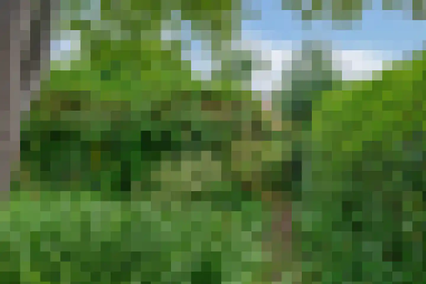 Schonenbergsingel 20 Velp thumbnail 50