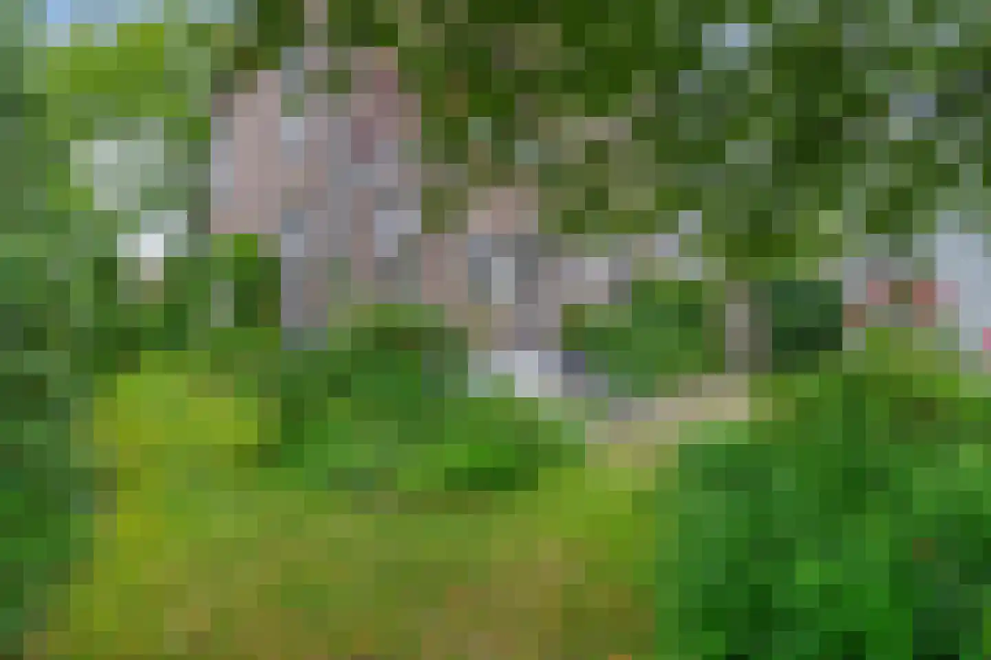 Schonenbergsingel 20 Velp thumbnail 51