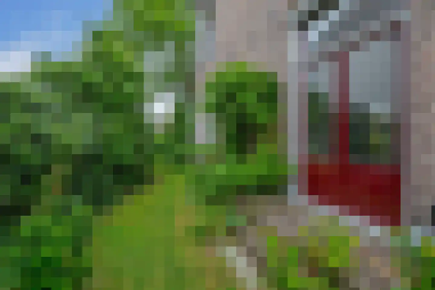 Schonenbergsingel 20 Velp thumbnail 52