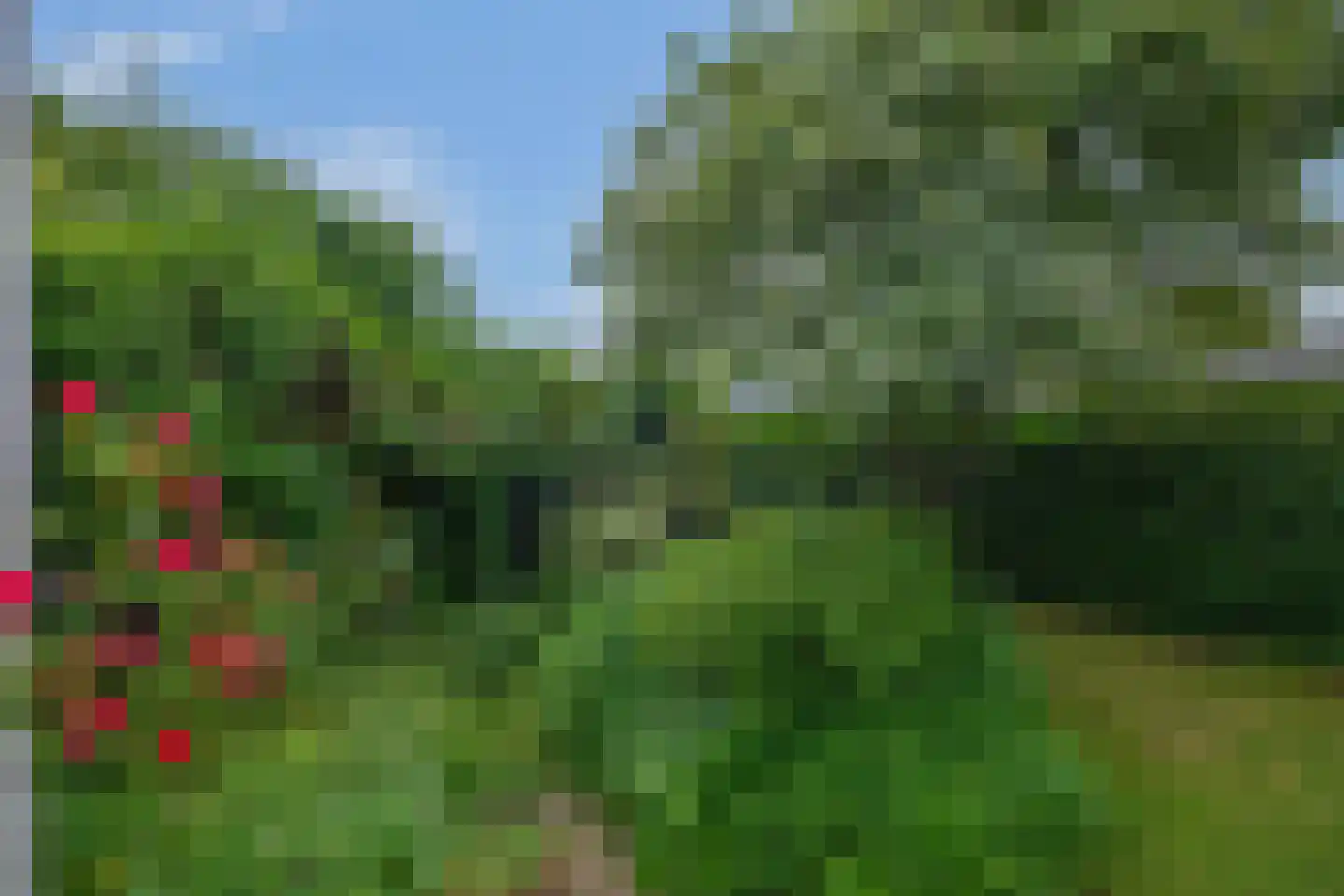 Schonenbergsingel 20 Velp thumbnail 54