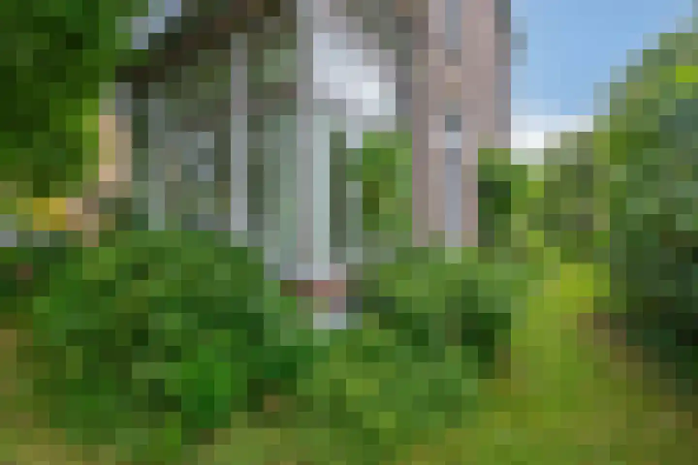 Schonenbergsingel 20 Velp thumbnail 55