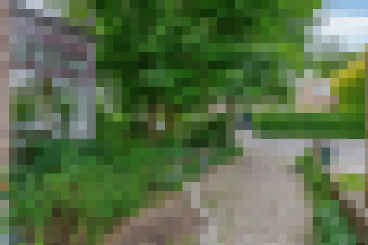 Schonenbergsingel 20 Velp thumbnail 56