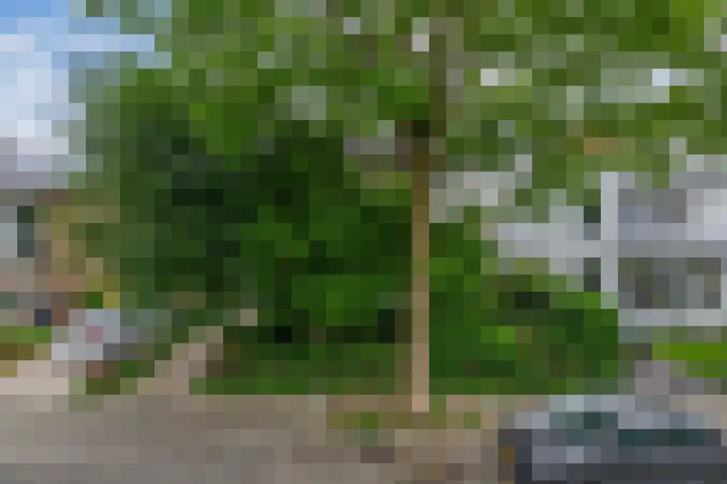 Schonenbergsingel 20 Velp thumbnail 59