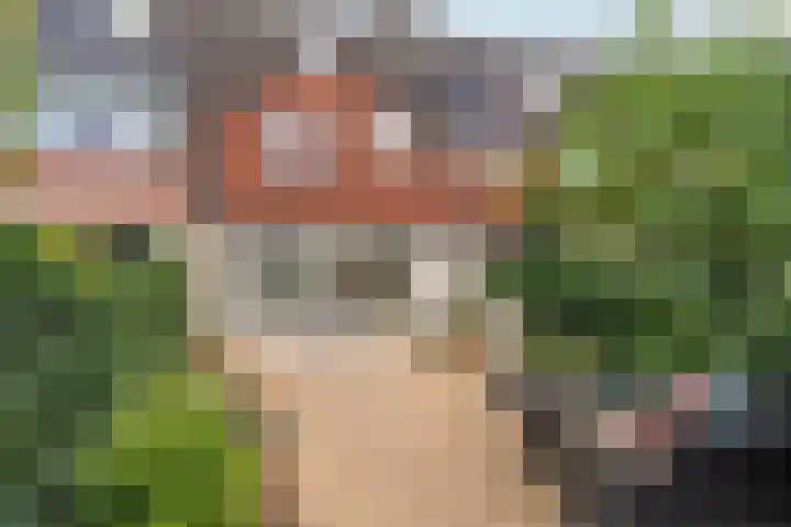 Schonenburgseind 10 Houten thumbnail 16