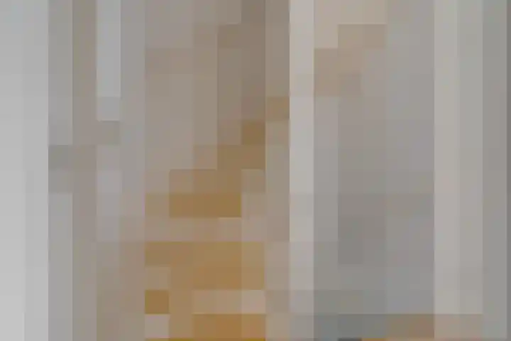 Schonenburgseind 10 Houten thumbnail 21