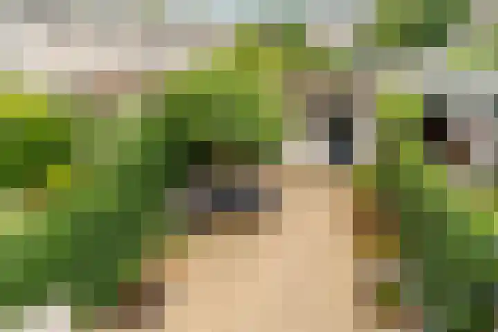Schonenburgseind 10 Houten thumbnail 27