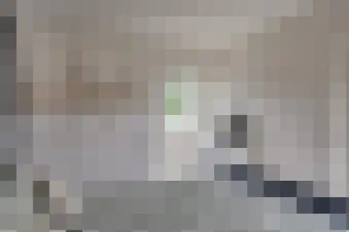 Schonenburgseind 10 Houten thumbnail 29