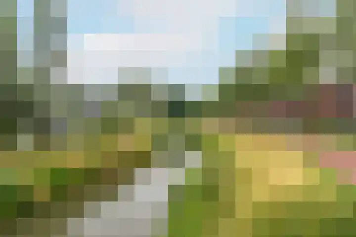 Schonenburgseind 10 Houten thumbnail 33