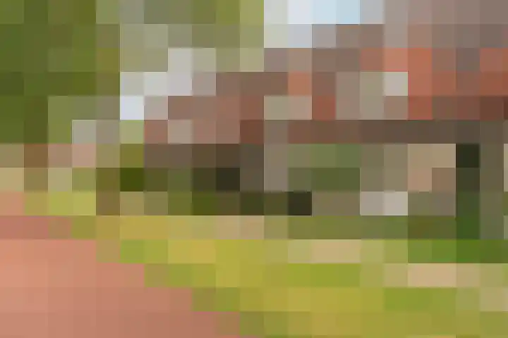 Schonenburgseind 10 Houten thumbnail 41