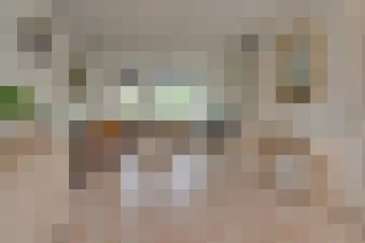 Schonenburgseind 10 Houten thumbnail 5