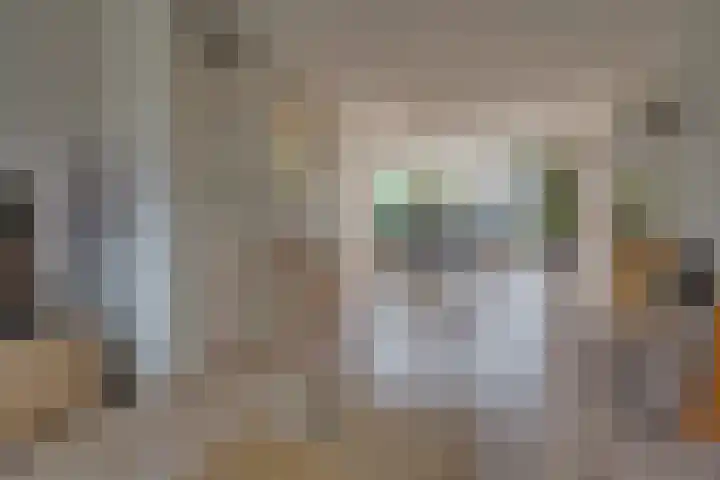 Schonenburgseind 10 Houten thumbnail 7