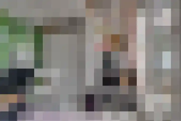 Schonenburgseind 48 3 Houten thumbnail 11